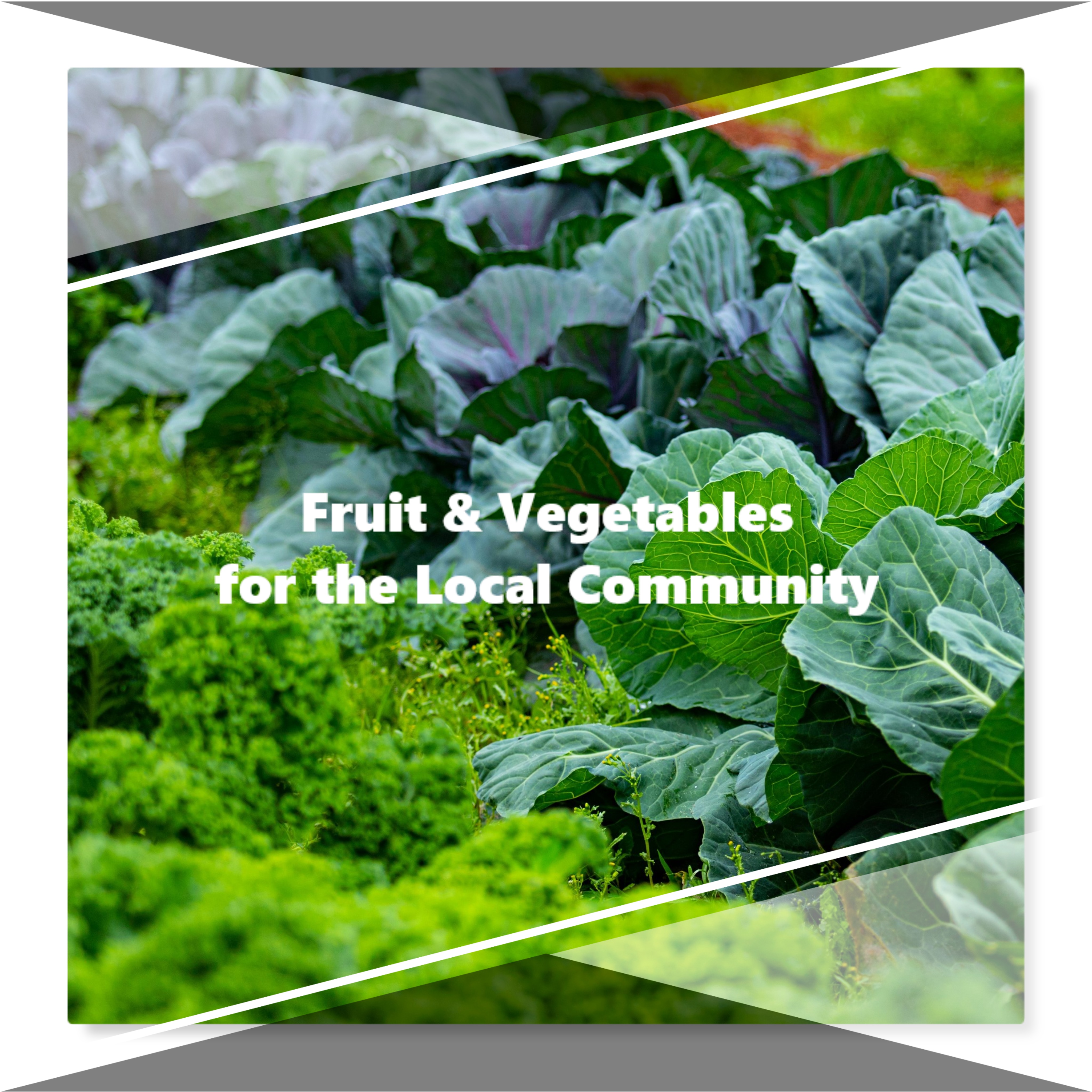 Vegetables